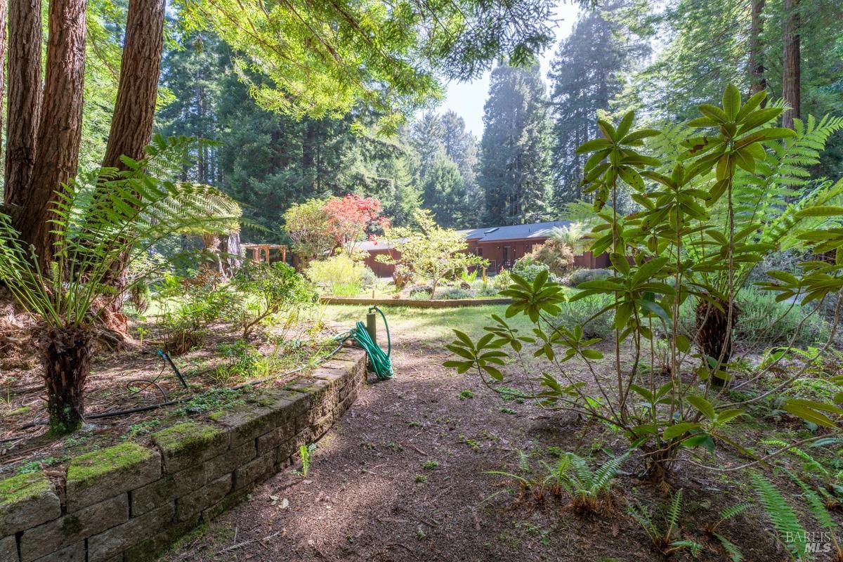 Detail Gallery Image 30 of 37 For 12141 Pinewood Rd, Mendocino,  CA 95460 - 3 Beds | 2 Baths