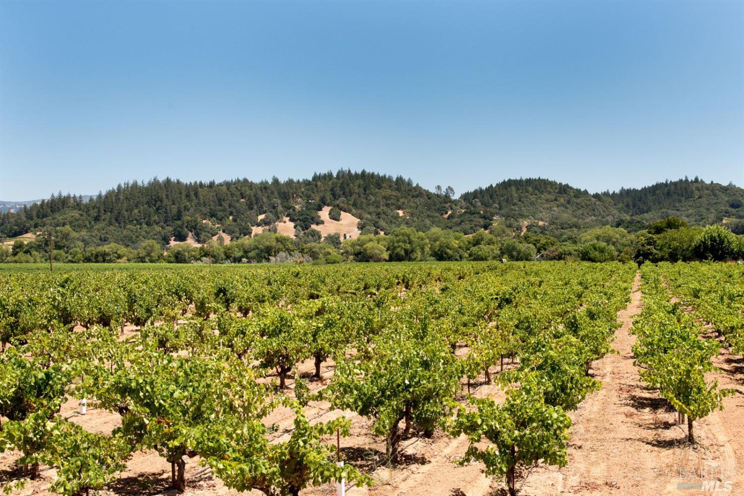 Detail Gallery Image 10 of 23 For 8236 W Dry Creek Rd, Healdsburg,  CA 95448 - – Beds | – Baths