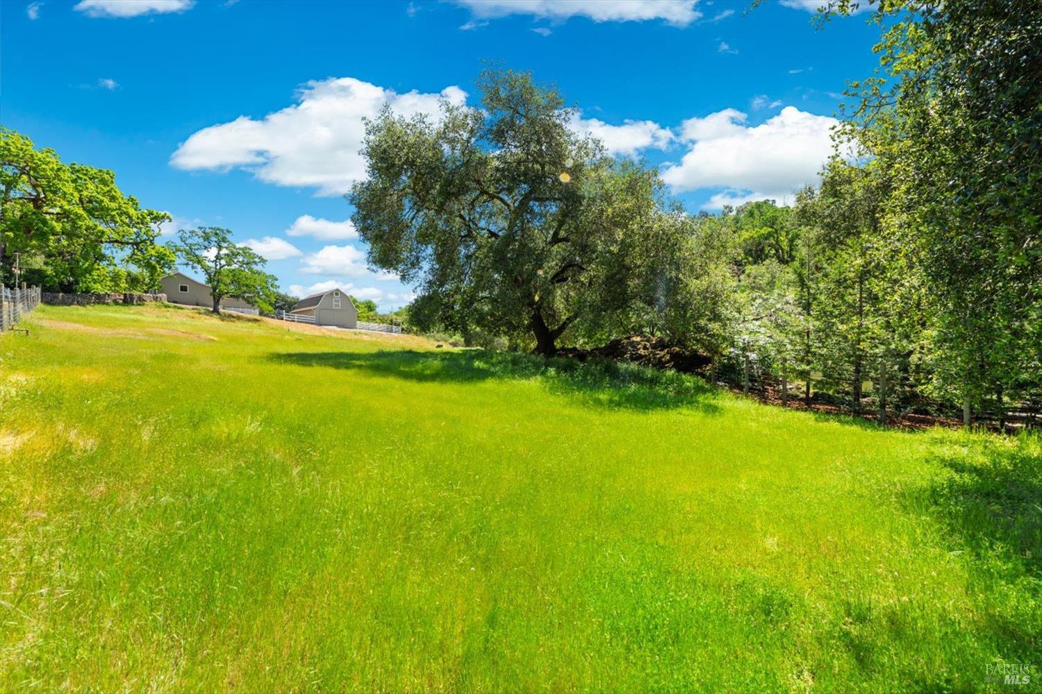 Detail Gallery Image 36 of 88 For 2297 1st Ave, Napa,  CA 94558 - 3 Beds | 3 Baths
