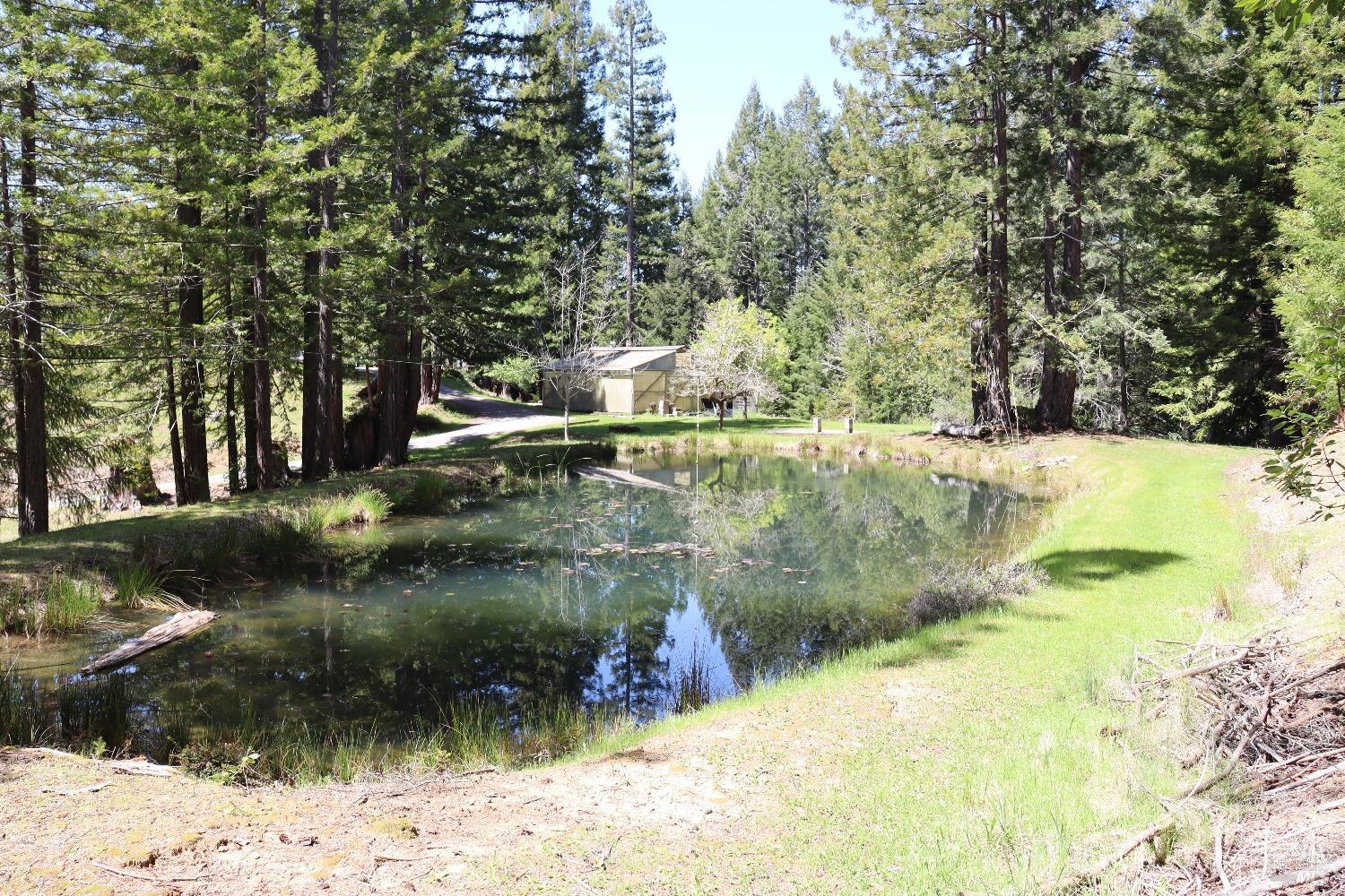 Detail Gallery Image 93 of 93 For 16770 Branscomb Rd, Branscomb,  CA 95454 - 2 Beds | 2 Baths
