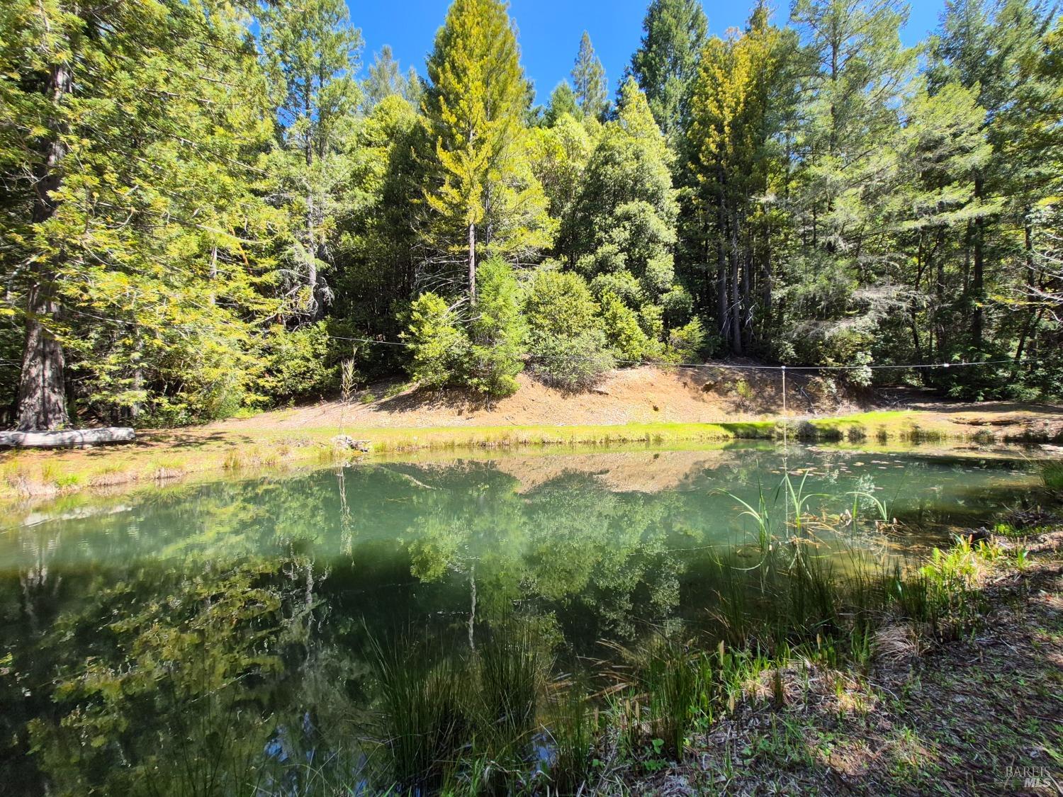 Detail Gallery Image 66 of 93 For 16770 Branscomb Rd, Branscomb,  CA 95454 - 2 Beds | 2 Baths