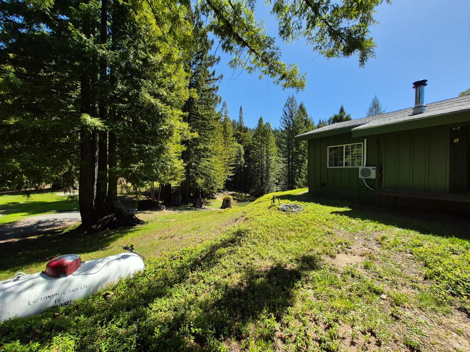 Detail Gallery Image 16 of 93 For 16770 Branscomb Rd, Branscomb,  CA 95454 - 2 Beds | 2 Baths