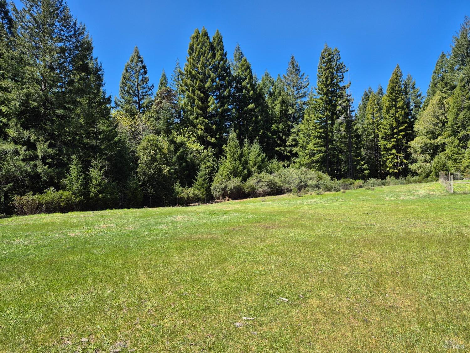Detail Gallery Image 85 of 93 For 16770 Branscomb Rd, Branscomb,  CA 95454 - 2 Beds | 2 Baths