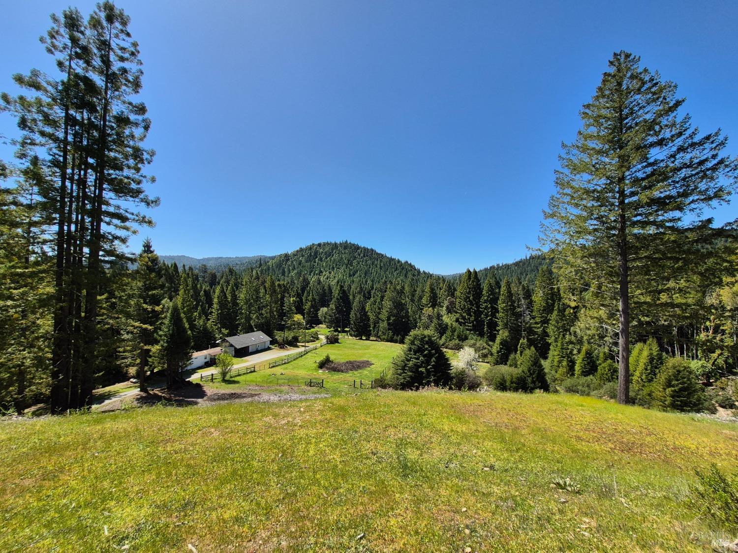Detail Gallery Image 21 of 93 For 16770 Branscomb Rd, Branscomb,  CA 95454 - 2 Beds | 2 Baths