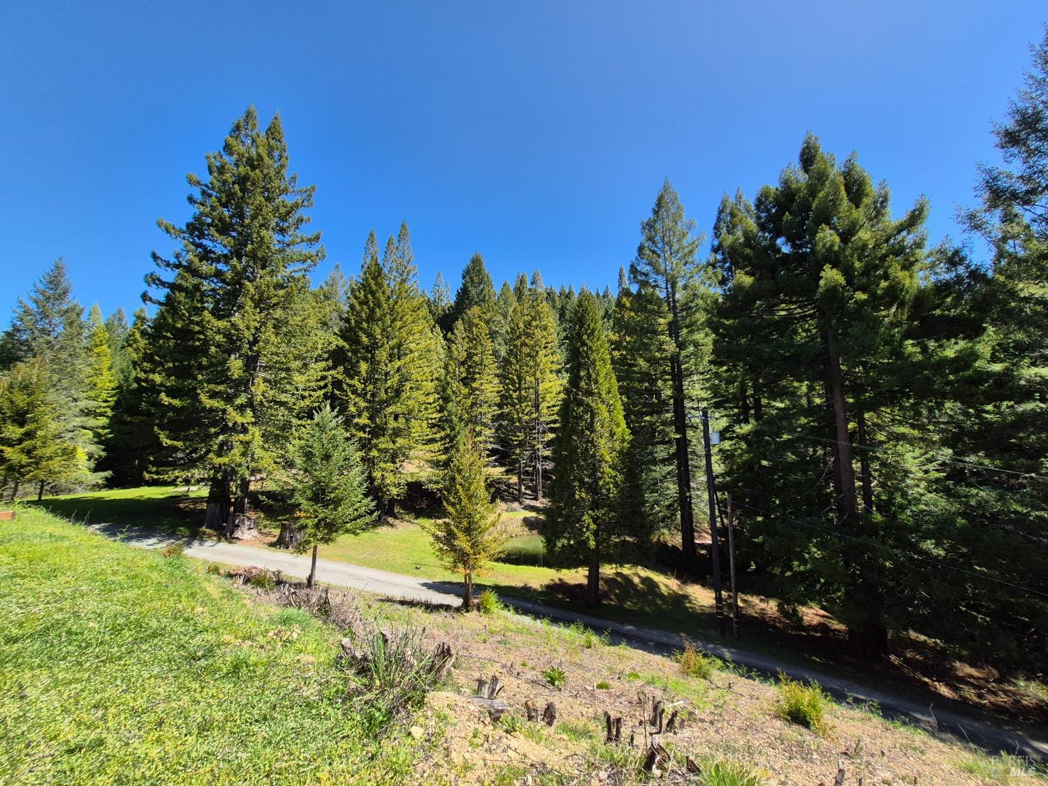Detail Gallery Image 22 of 93 For 16770 Branscomb Rd, Branscomb,  CA 95454 - 2 Beds | 2 Baths