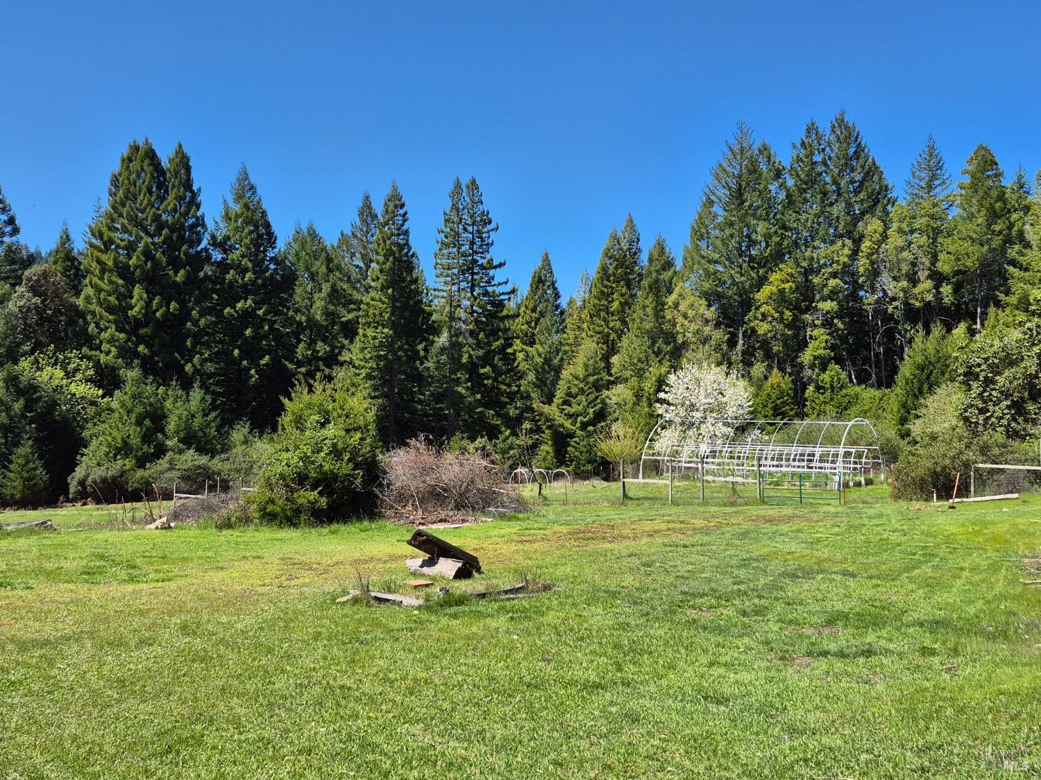 Detail Gallery Image 74 of 93 For 16770 Branscomb Rd, Branscomb,  CA 95454 - 2 Beds | 2 Baths