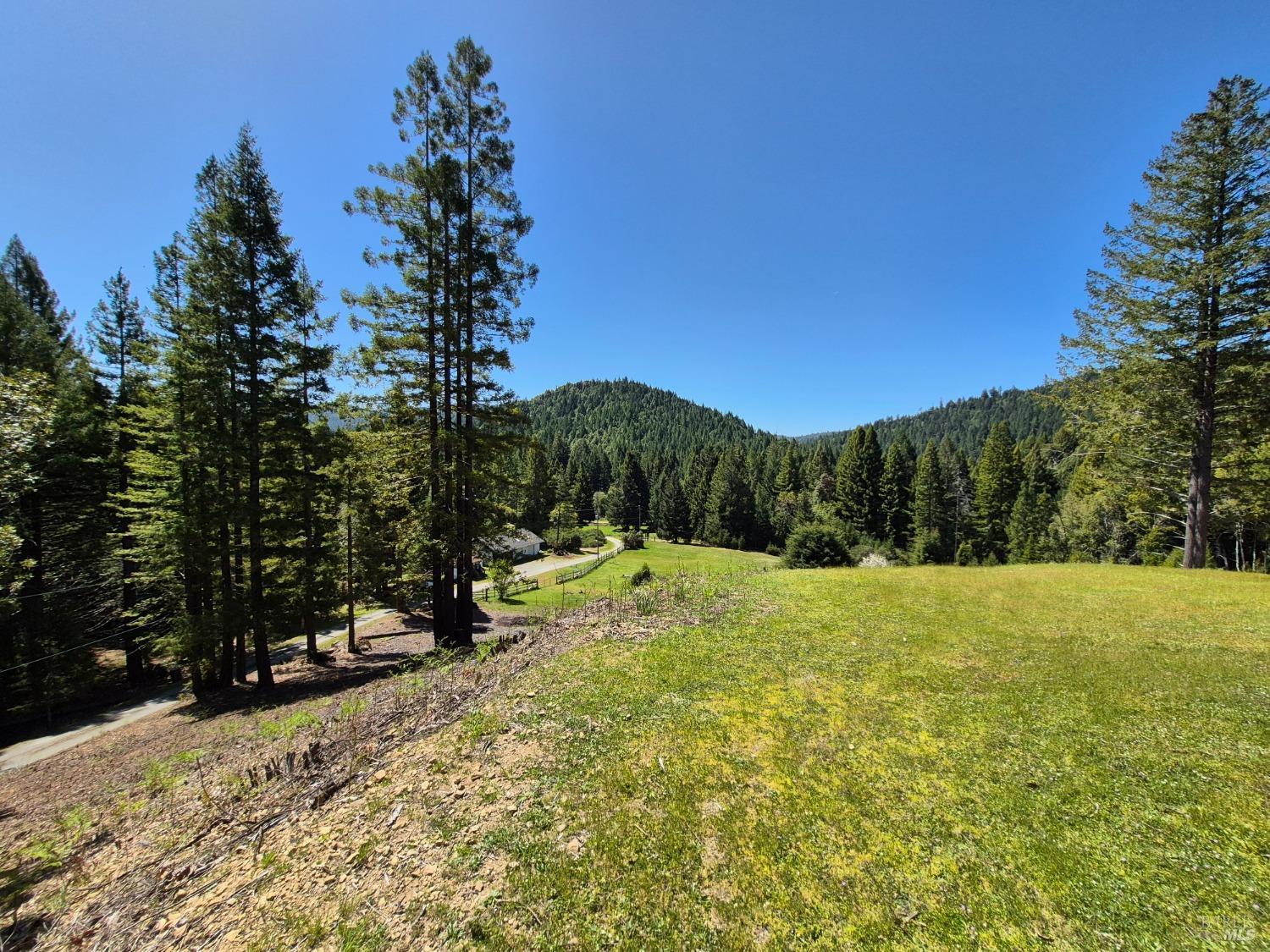 Detail Gallery Image 24 of 93 For 16770 Branscomb Rd, Branscomb,  CA 95454 - 2 Beds | 2 Baths