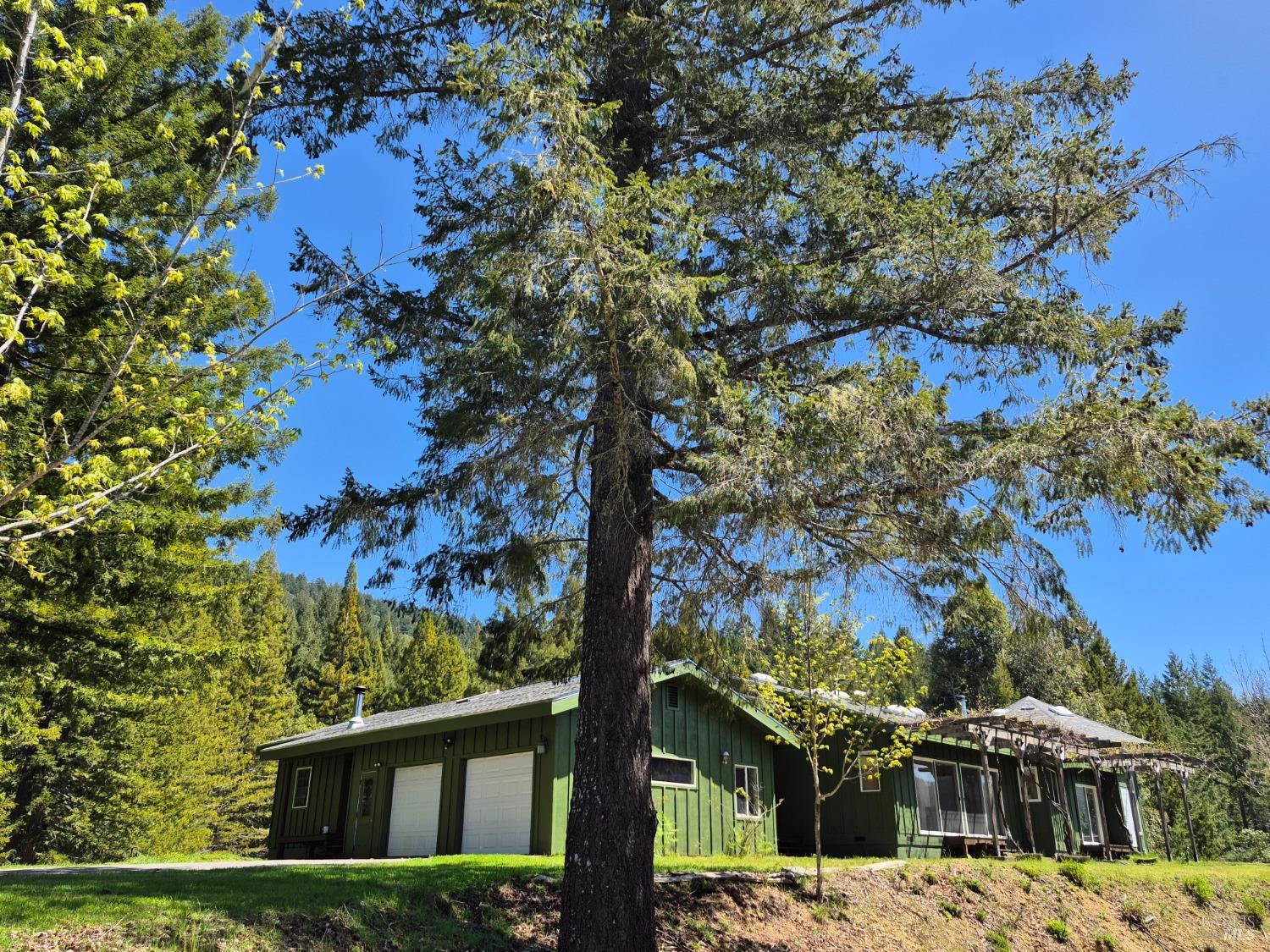 Detail Gallery Image 6 of 93 For 16770 Branscomb Rd, Branscomb,  CA 95454 - 2 Beds | 2 Baths