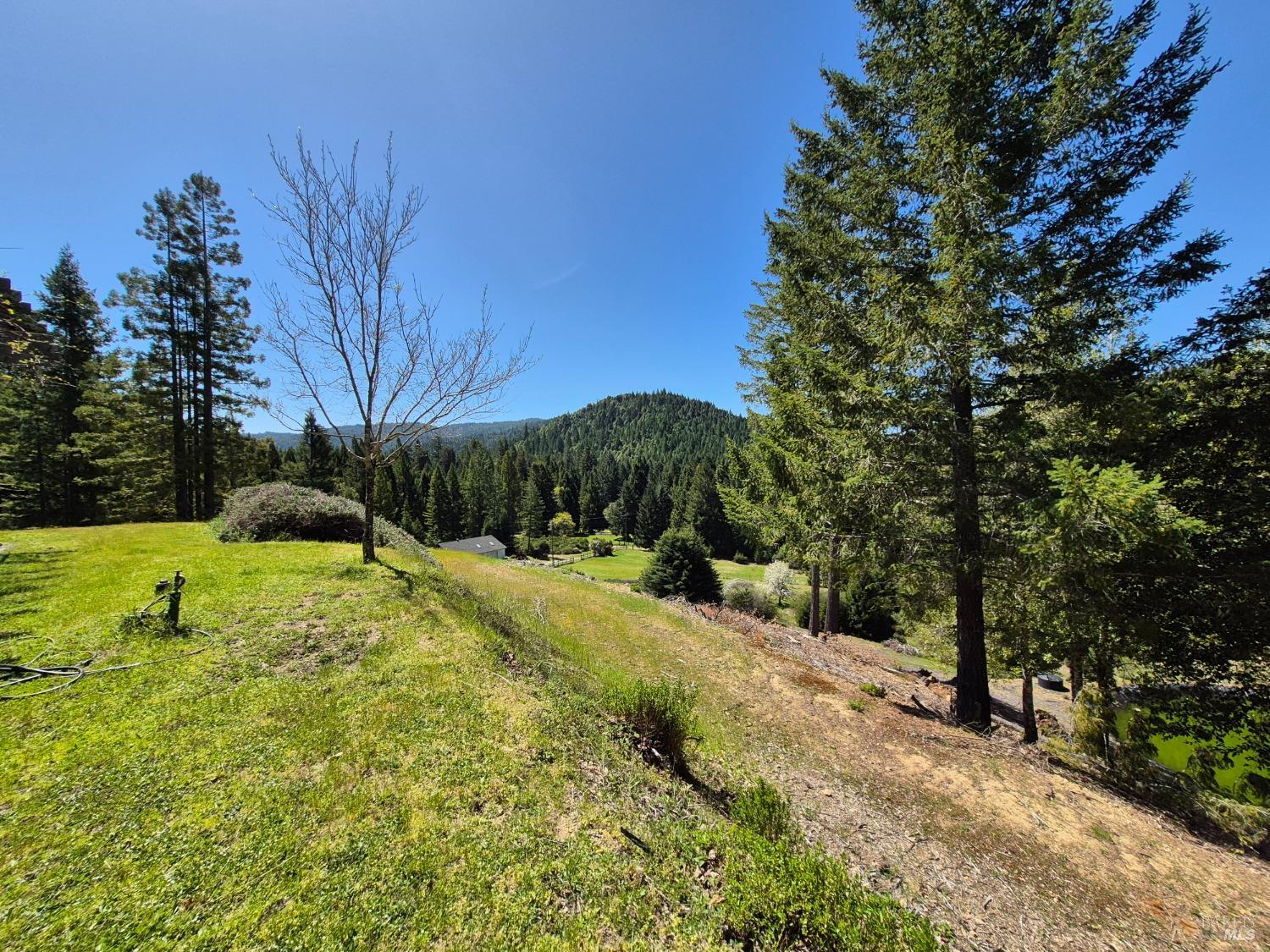 Detail Gallery Image 18 of 93 For 16770 Branscomb Rd, Branscomb,  CA 95454 - 2 Beds | 2 Baths