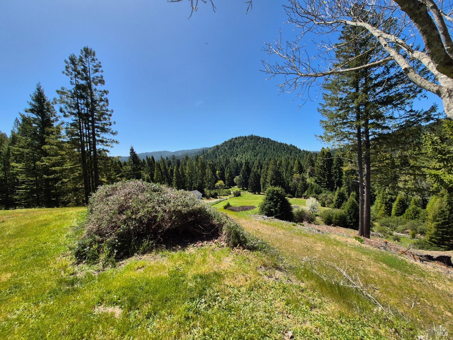 Detail Gallery Image 20 of 93 For 16770 Branscomb Rd, Branscomb,  CA 95454 - 2 Beds | 2 Baths