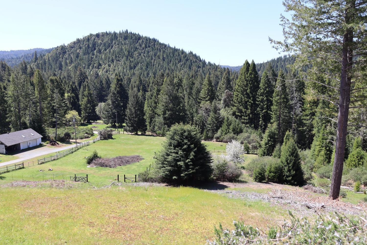 Detail Gallery Image 11 of 93 For 16770 Branscomb Rd, Branscomb,  CA 95454 - 2 Beds | 2 Baths