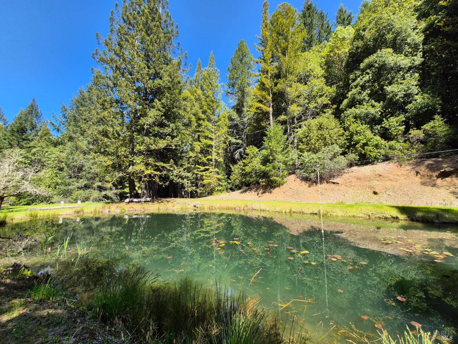 Detail Gallery Image 67 of 93 For 16770 Branscomb Rd, Branscomb,  CA 95454 - 2 Beds | 2 Baths
