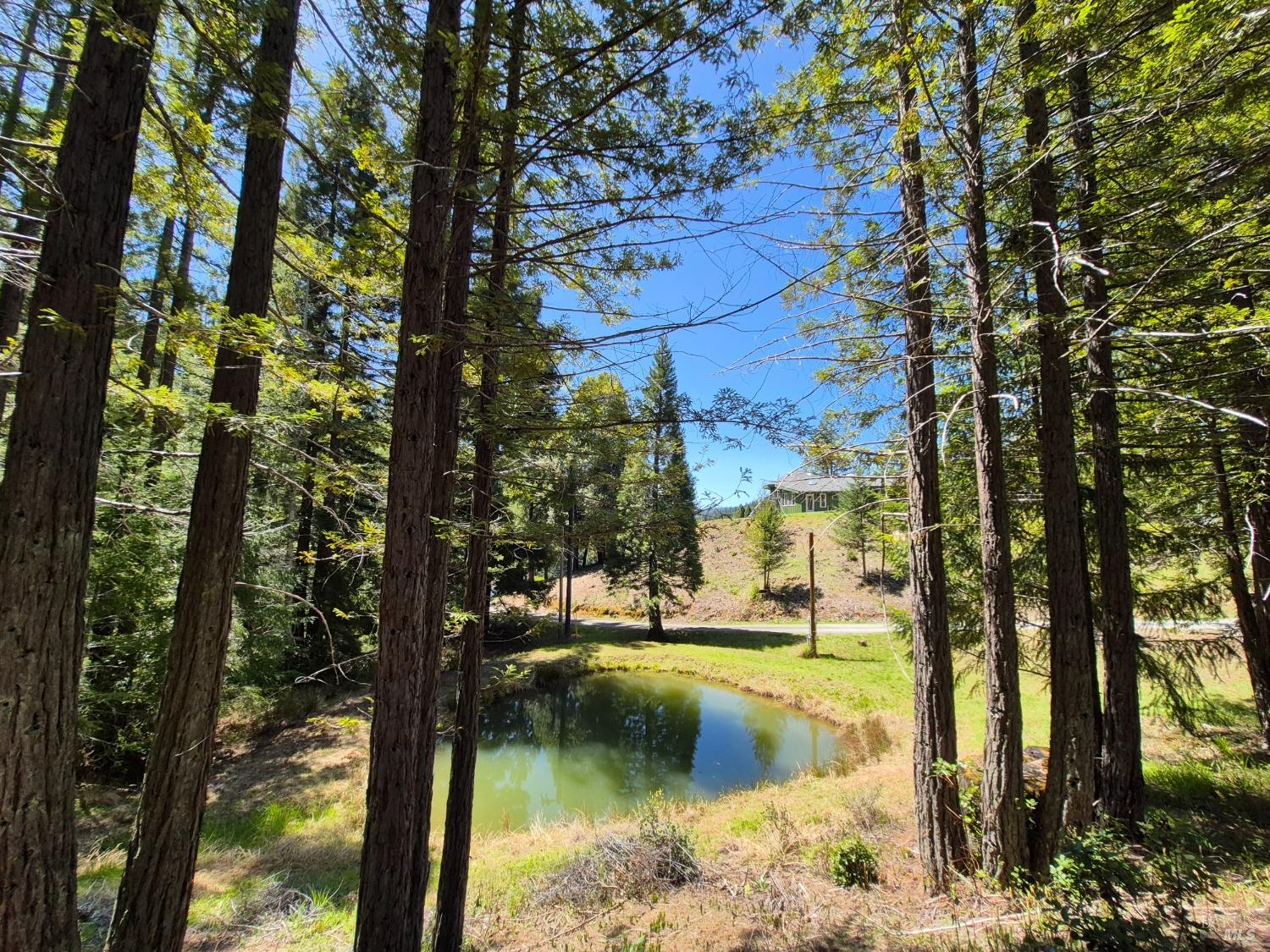 Detail Gallery Image 68 of 93 For 16770 Branscomb Rd, Branscomb,  CA 95454 - 2 Beds | 2 Baths