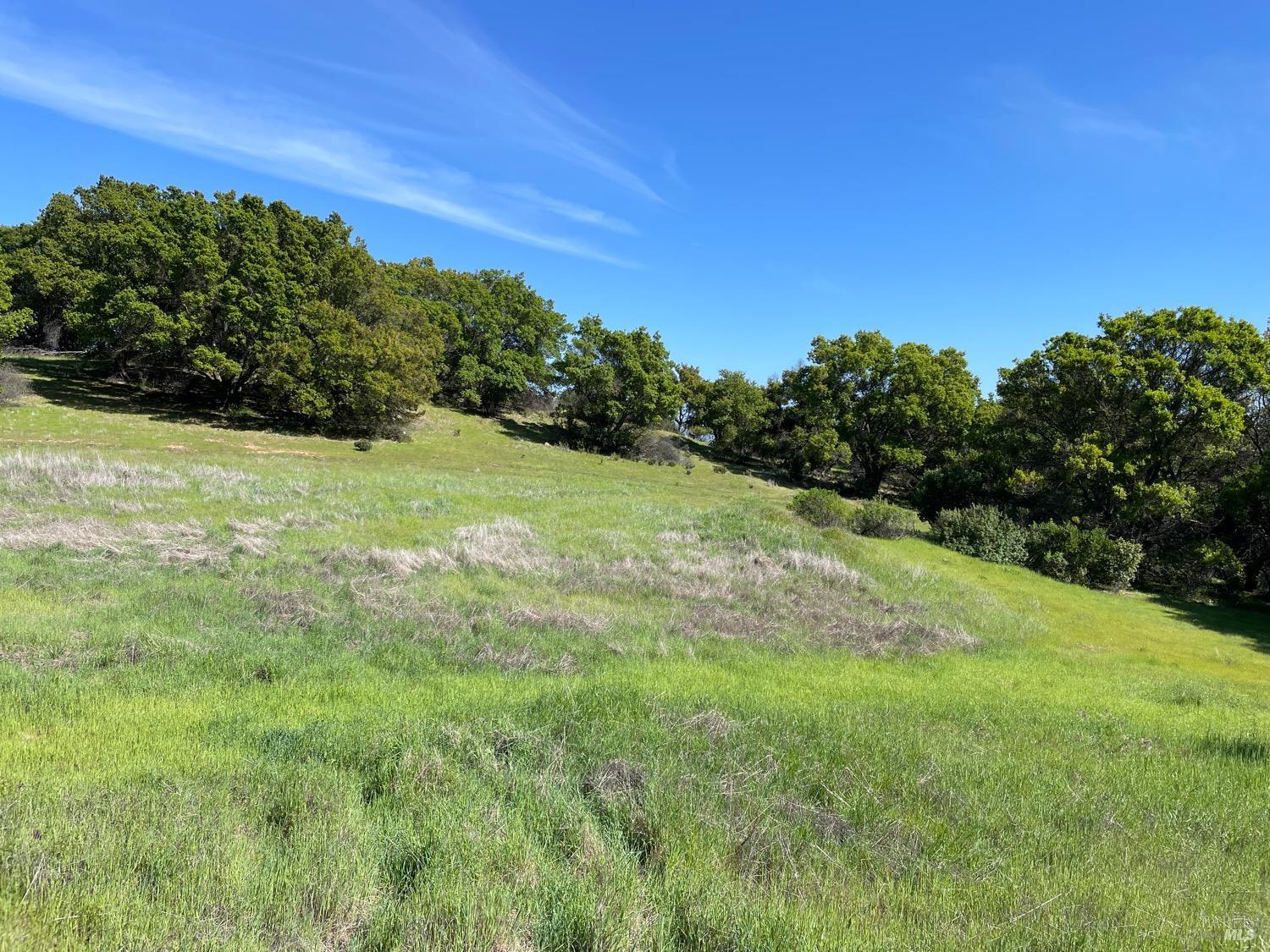 Detail Gallery Image 6 of 12 For 0 Green Valley Ln, Green Valley,  CA 94534 - – Beds | – Baths
