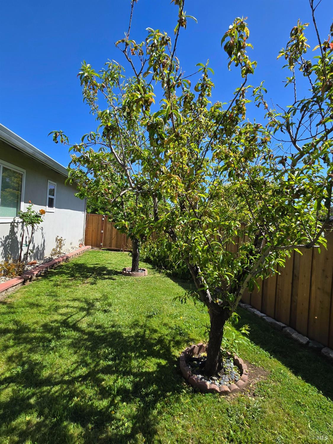 Detail Gallery Image 11 of 16 For 519 Tamarack Dr, San Rafael,  CA 94903 - 3 Beds | 2 Baths