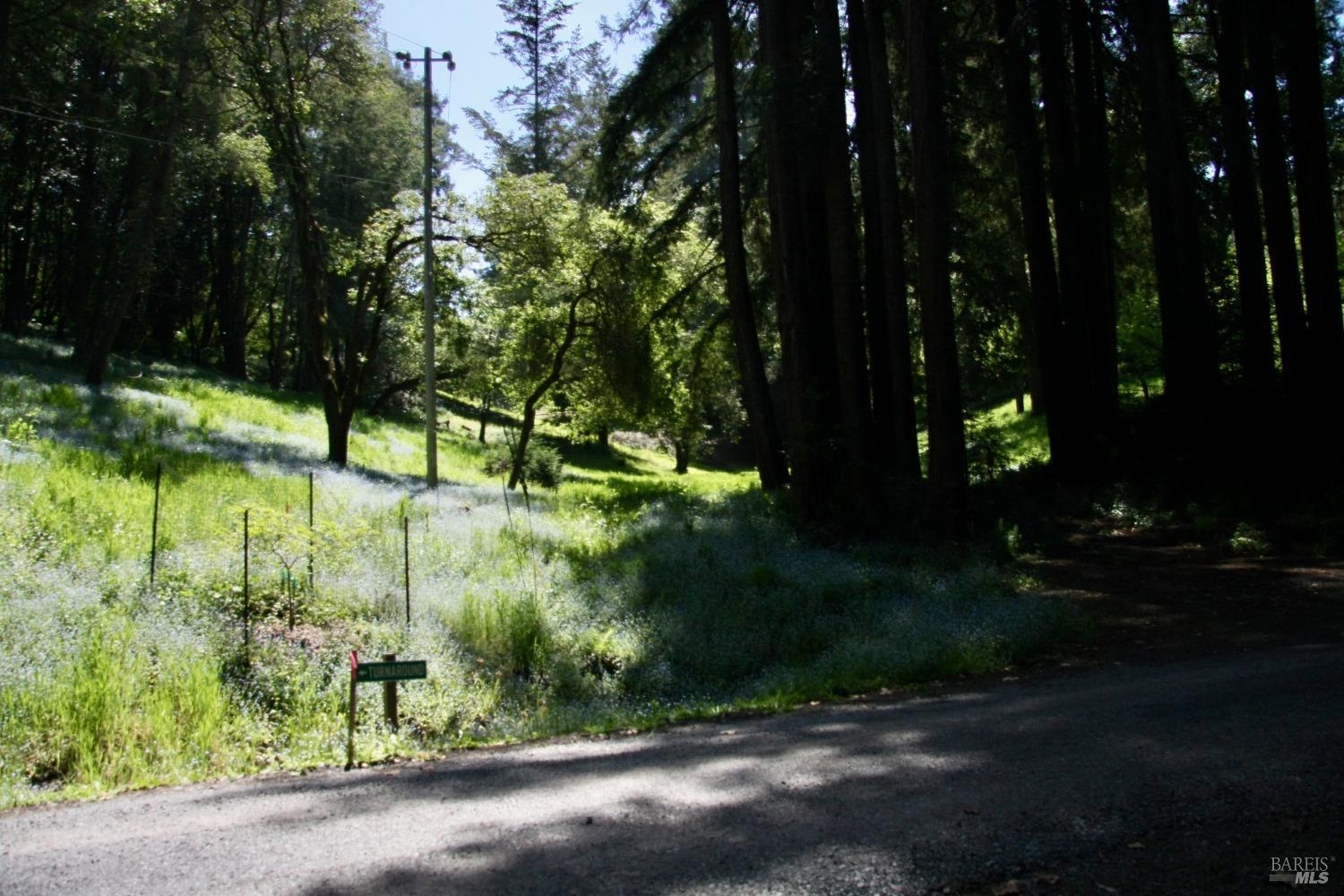 Detail Gallery Image 15 of 16 For 10966 Barnett Valley Rd, Sebastopol,  CA 95472 - – Beds | – Baths
