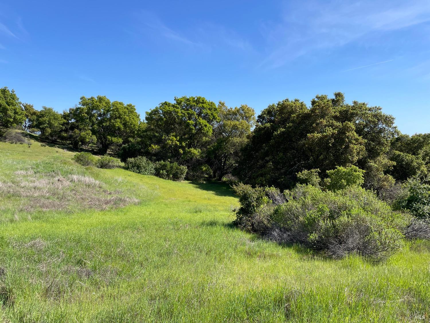 Detail Gallery Image 5 of 12 For 0 Green Valley Ln, Green Valley,  CA 94534 - – Beds | – Baths