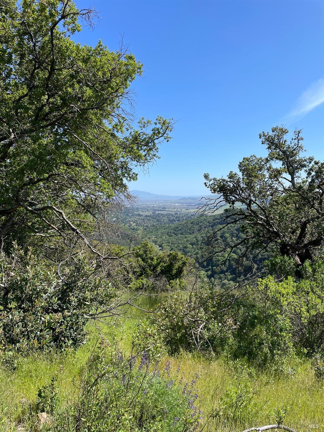 Detail Gallery Image 4 of 12 For 0 Green Valley Ln, Green Valley,  CA 94534 - – Beds | – Baths