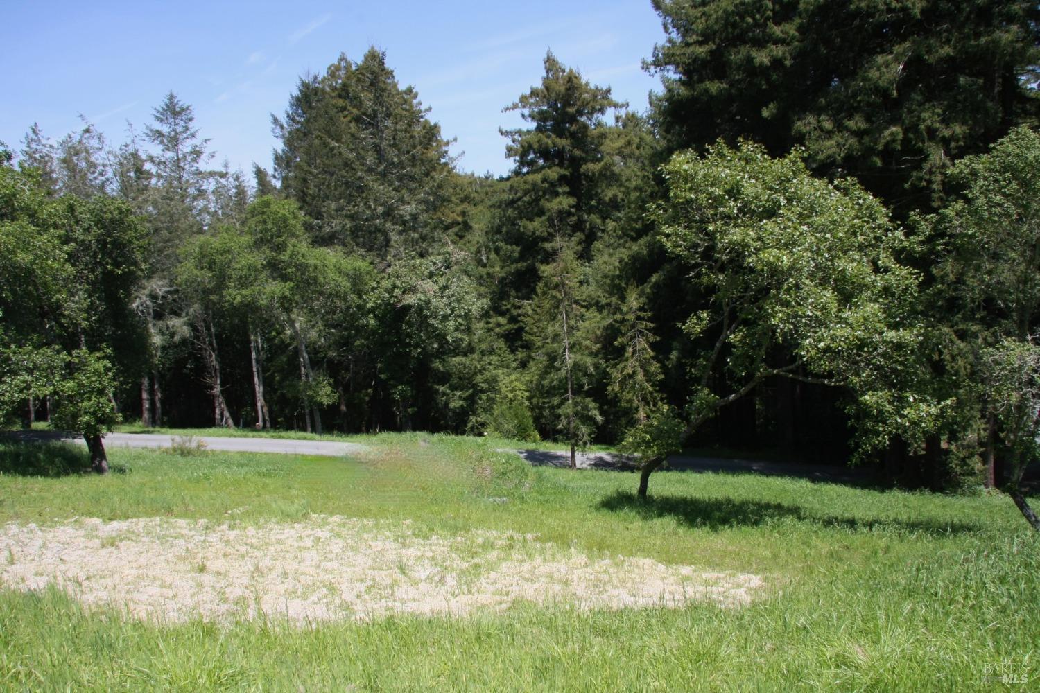 Detail Gallery Image 12 of 16 For 10966 Barnett Valley Rd, Sebastopol,  CA 95472 - – Beds | – Baths
