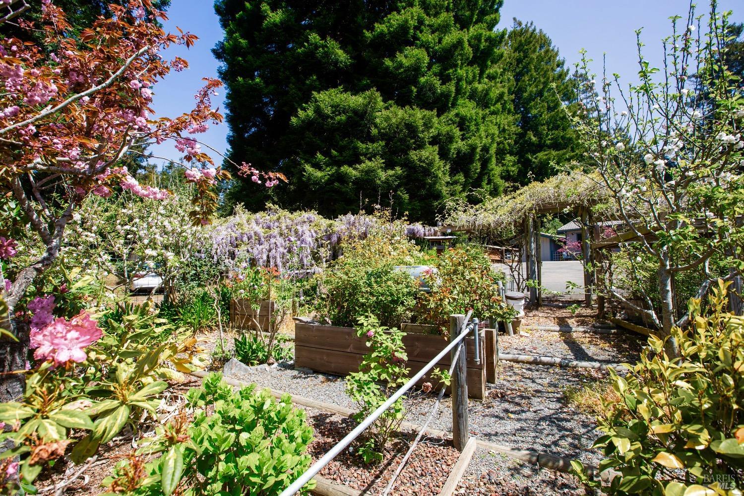 Detail Gallery Image 31 of 47 For 32391 Mill Creek Dr, Fort Bragg,  CA 95437 - 3 Beds | 2 Baths