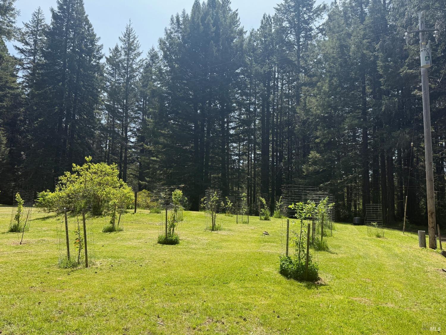 Detail Gallery Image 43 of 46 For 38881 Comptche Ukiah Rd, Mendocino,  CA 95460 - 4 Beds | 2 Baths