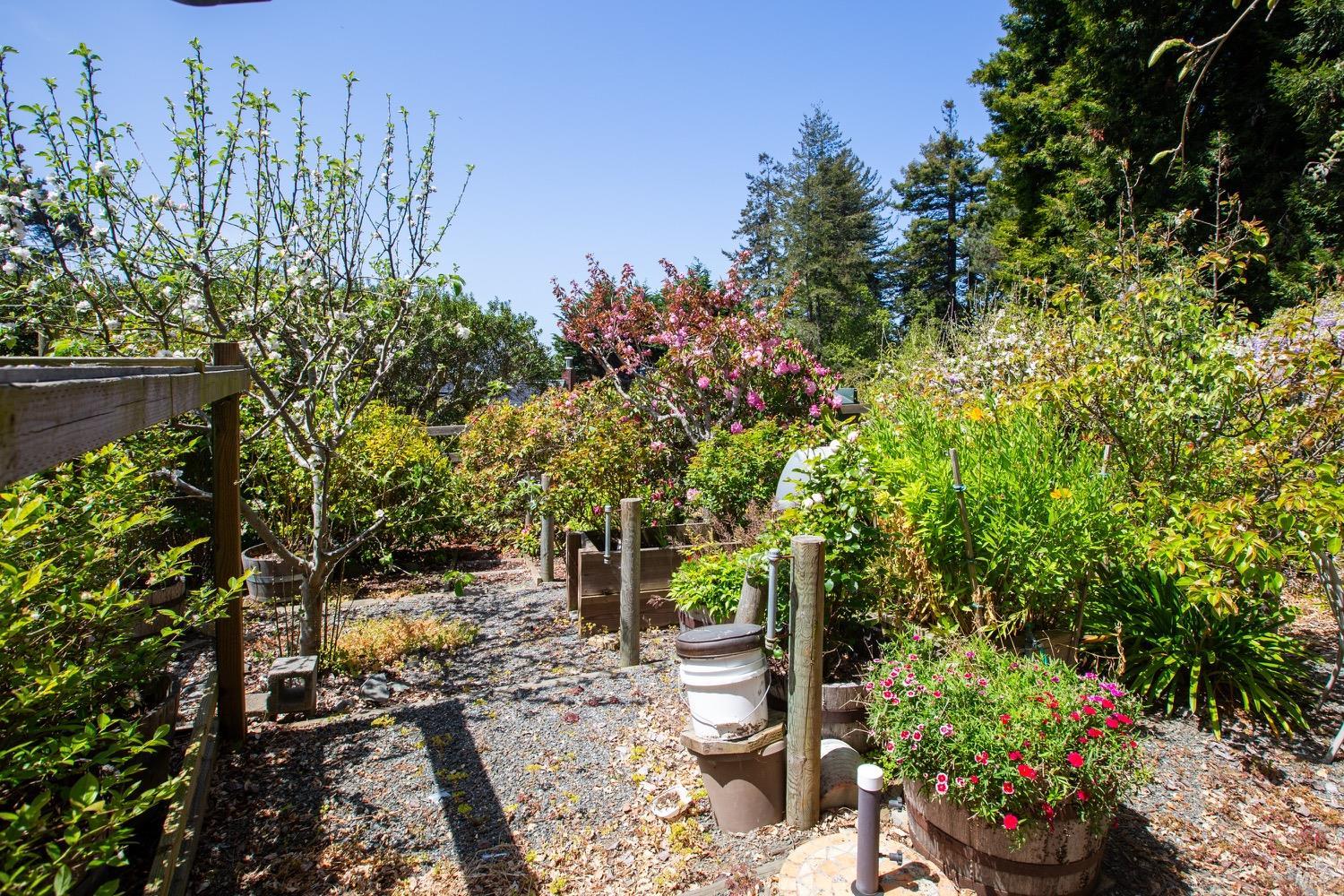Detail Gallery Image 32 of 47 For 32391 Mill Creek Dr, Fort Bragg,  CA 95437 - 3 Beds | 2 Baths