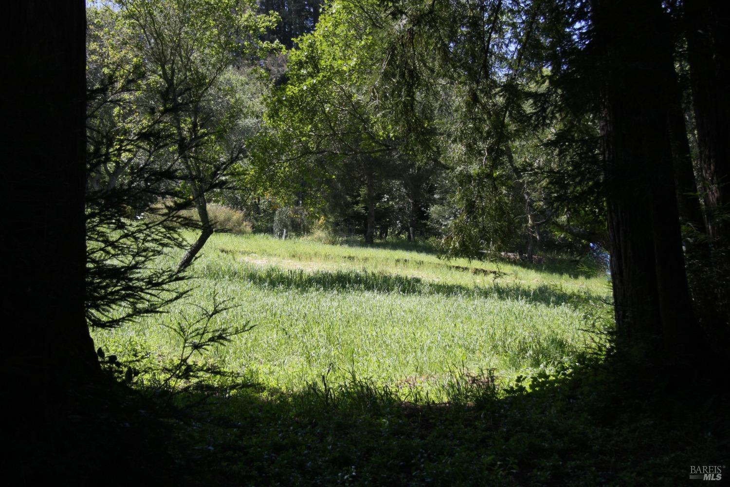Detail Gallery Image 14 of 16 For 10966 Barnett Valley Rd, Sebastopol,  CA 95472 - – Beds | – Baths