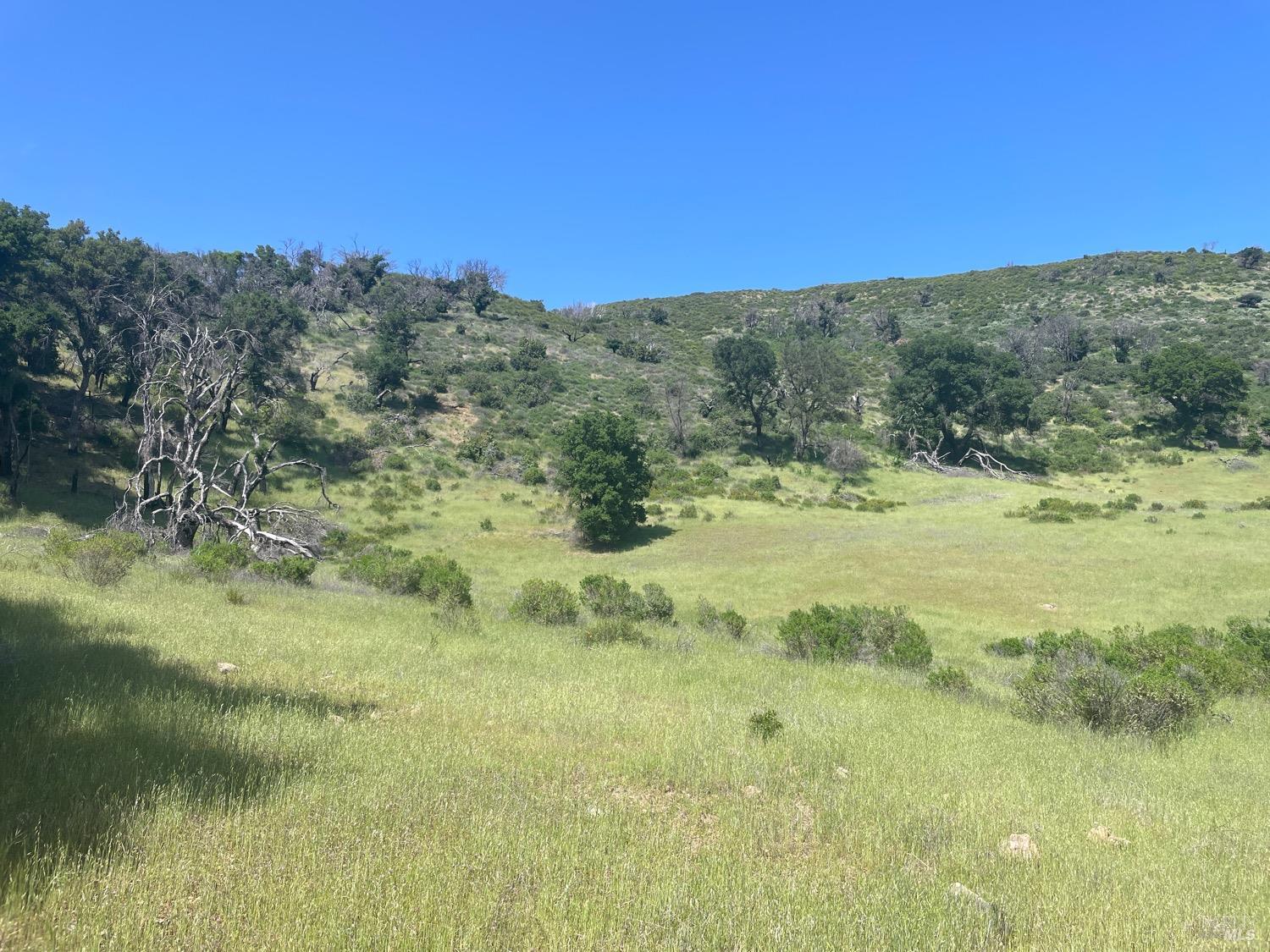 Detail Gallery Image 7 of 10 For 0 Green Valley Ln, Green Valley,  CA 94534 - – Beds | – Baths