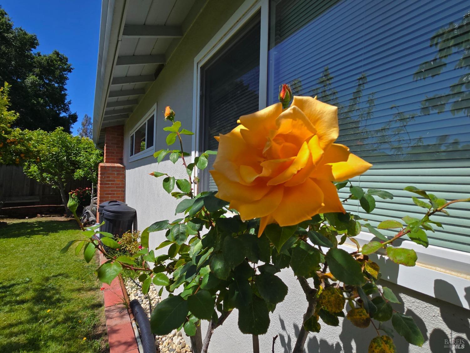 Detail Gallery Image 14 of 16 For 519 Tamarack Dr, San Rafael,  CA 94903 - 3 Beds | 2 Baths