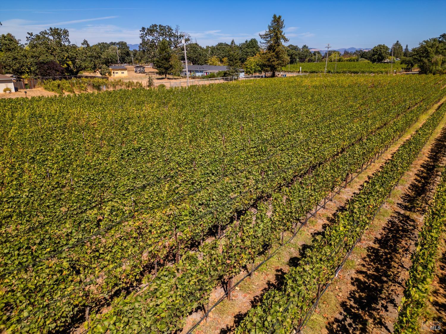 Detail Gallery Image 75 of 79 For 3950 Black Oak Dr, Santa Rosa,  CA 95401 - 4 Beds | 4/1 Baths