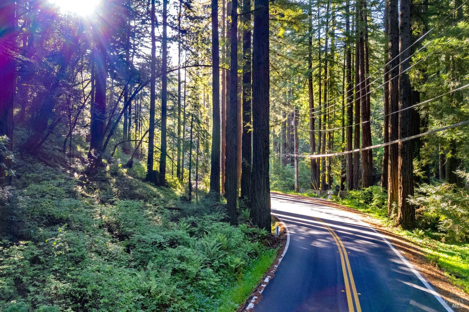 Lucas Valley Road, Nicasio, California image 3
