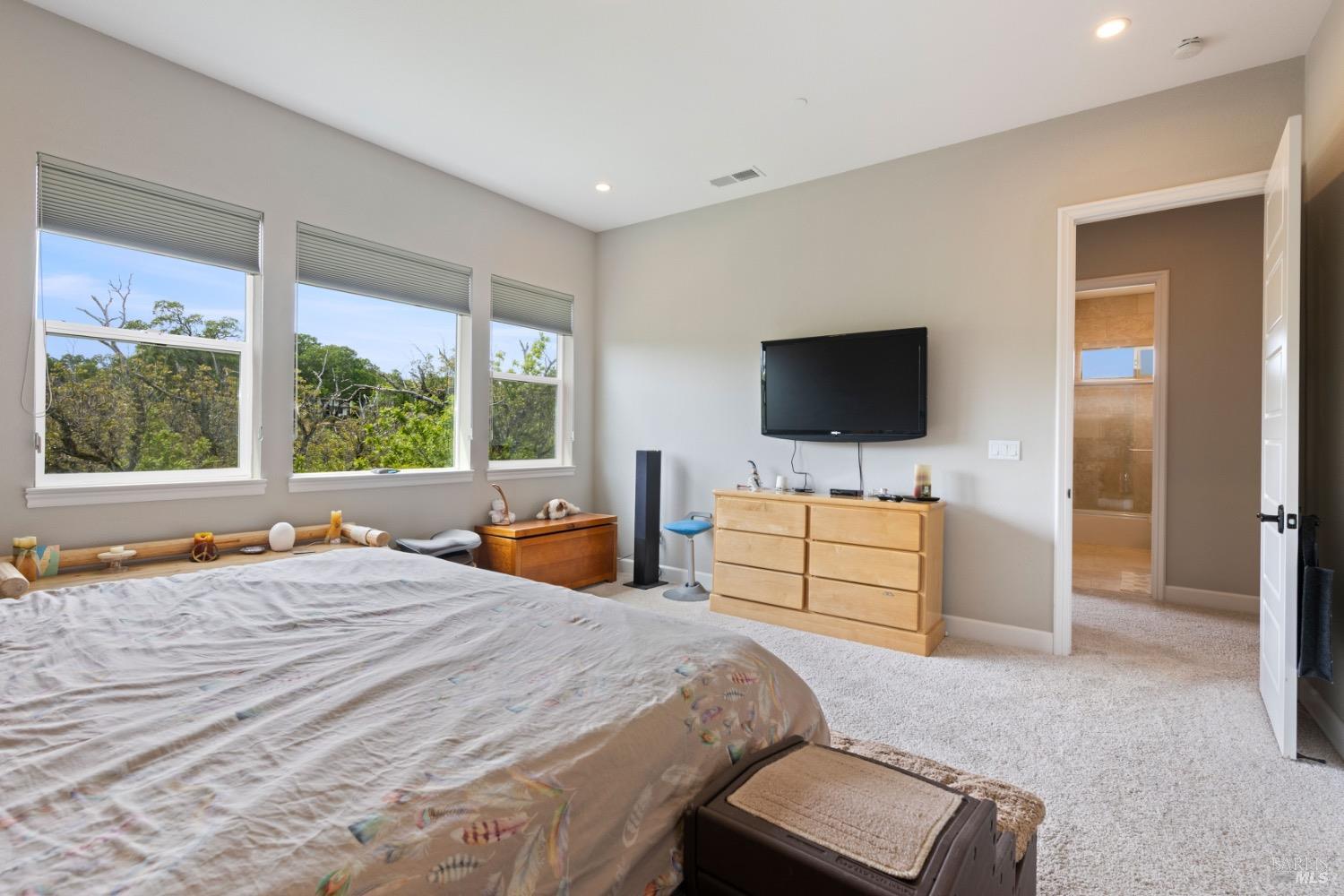 Detail Gallery Image 32 of 67 For 295 Katie Ct, Lakeport,  CA 95453 - 4 Beds | 3 Baths