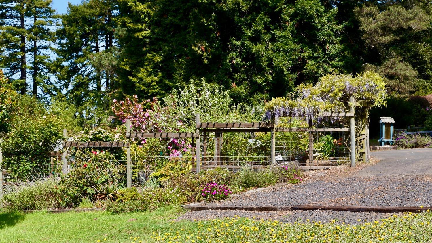 Detail Gallery Image 30 of 47 For 32391 Mill Creek Dr, Fort Bragg,  CA 95437 - 3 Beds | 2 Baths