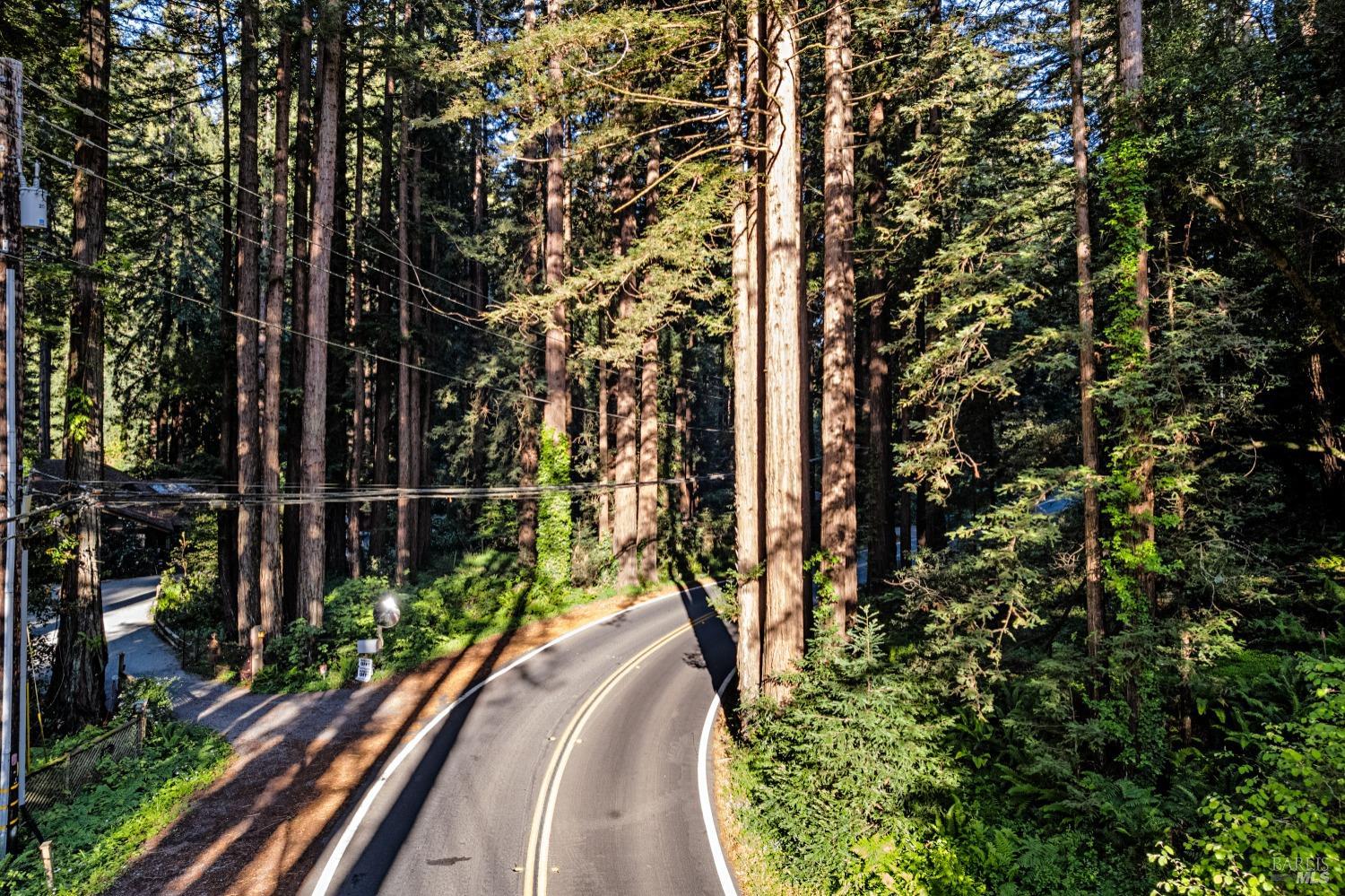 Lucas Valley Road, Nicasio, California image 5