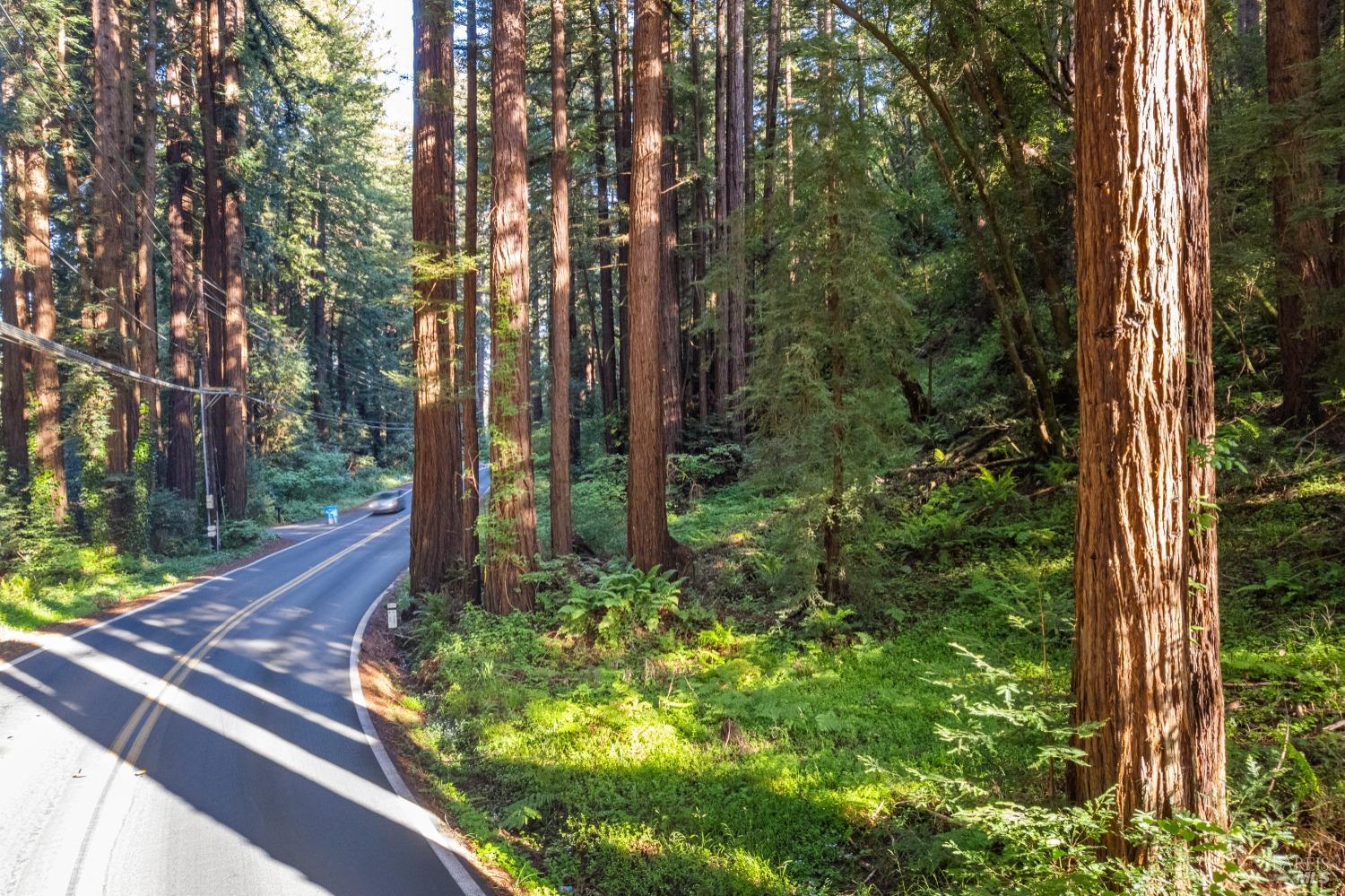 Lucas Valley Road, Nicasio, California image 6