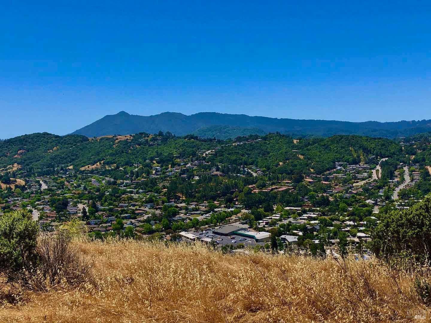 Detail Gallery Image 21 of 25 For 628 Bamboo Ter, San Rafael,  CA 94903 - 3 Beds | 2 Baths