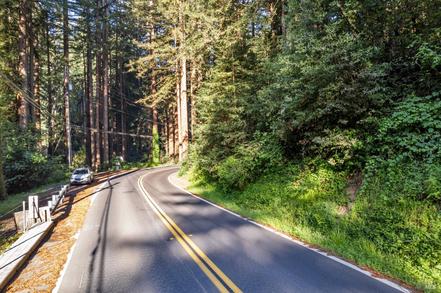 Lucas Valley Road, Nicasio, California image 7