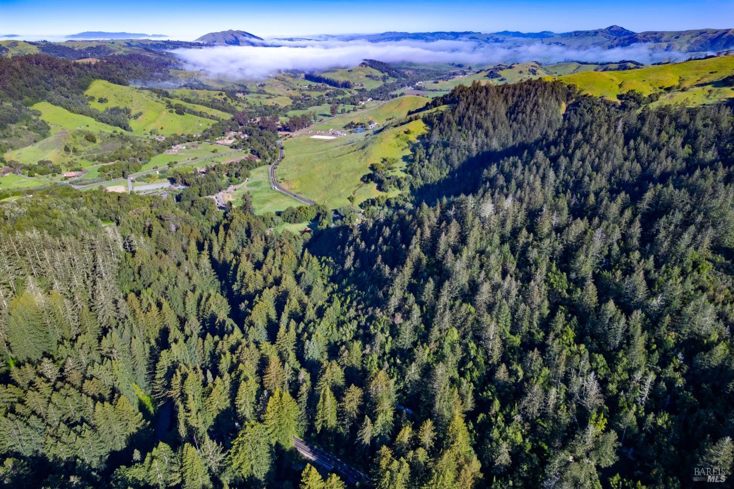 Lucas Valley Road, Nicasio, California image 4