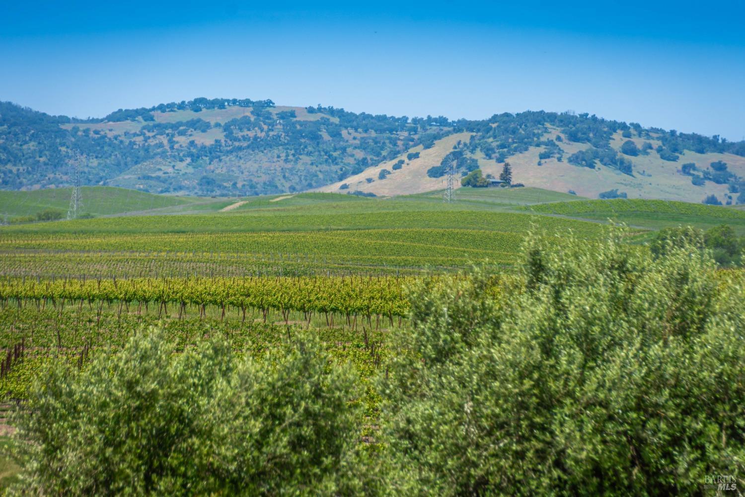 Detail Gallery Image 59 of 60 For 1150 Bayview Ave, Napa,  CA 94559 - 3 Beds | 2 Baths