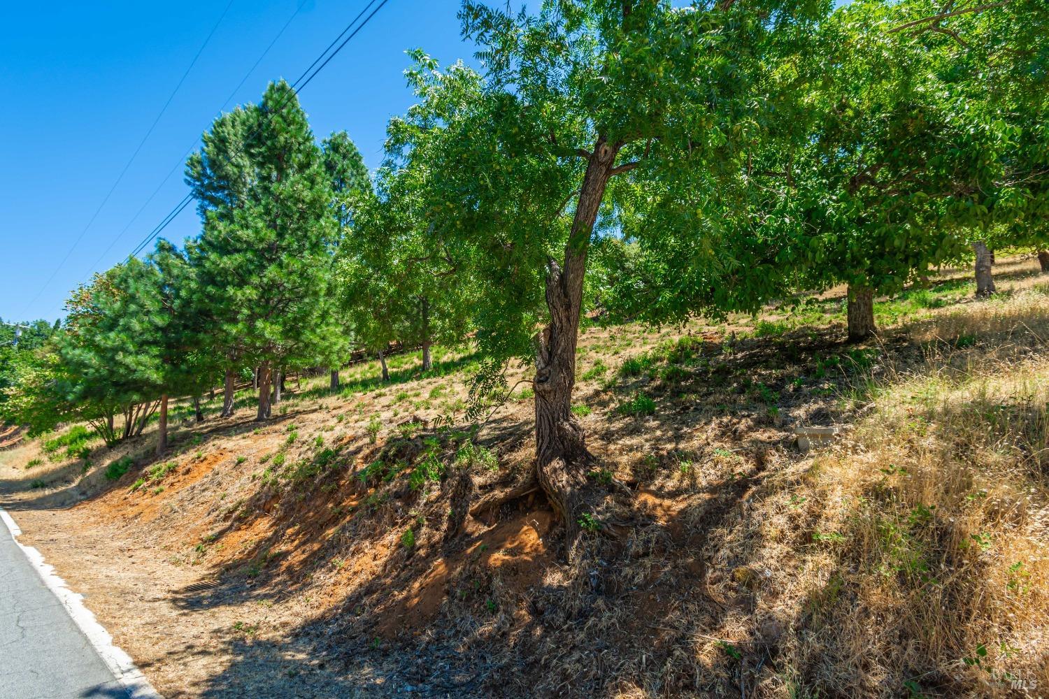 Detail Gallery Image 24 of 75 For 3126 Edgewood Dr, Kelseyville,  CA 95451 - – Beds | – Baths