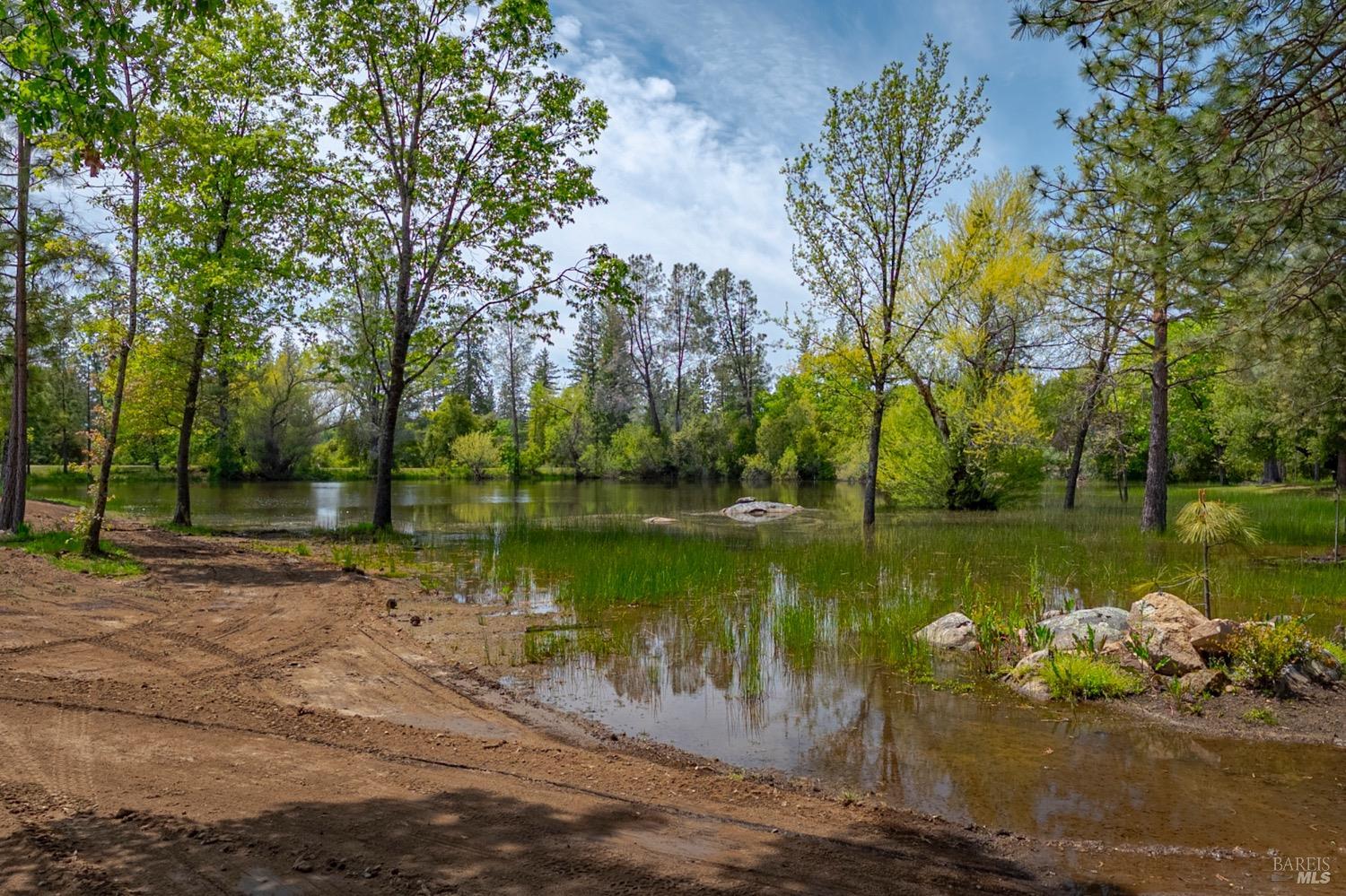 Detail Gallery Image 21 of 85 For 4870 Usona Rd, Mariposa,  CA 95338 - 2 Beds | 2 Baths