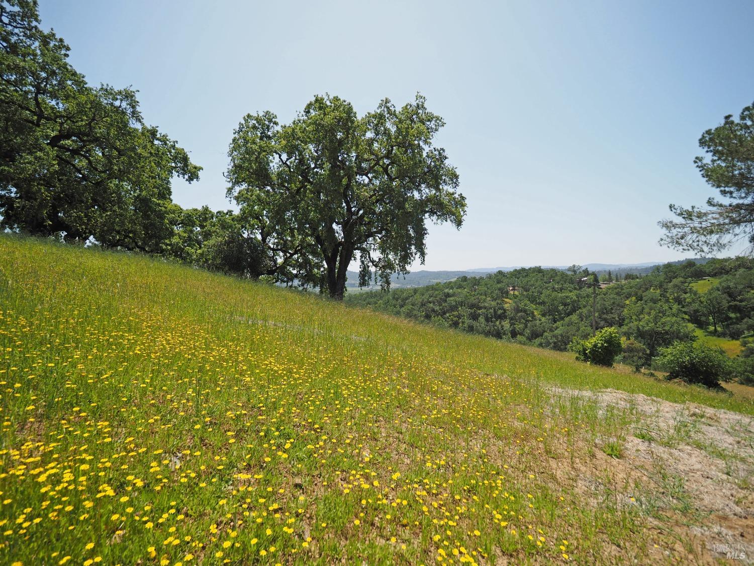 Detail Gallery Image 11 of 44 For 369 Deer Path Dr, Geyserville,  CA 95441 - – Beds | – Baths