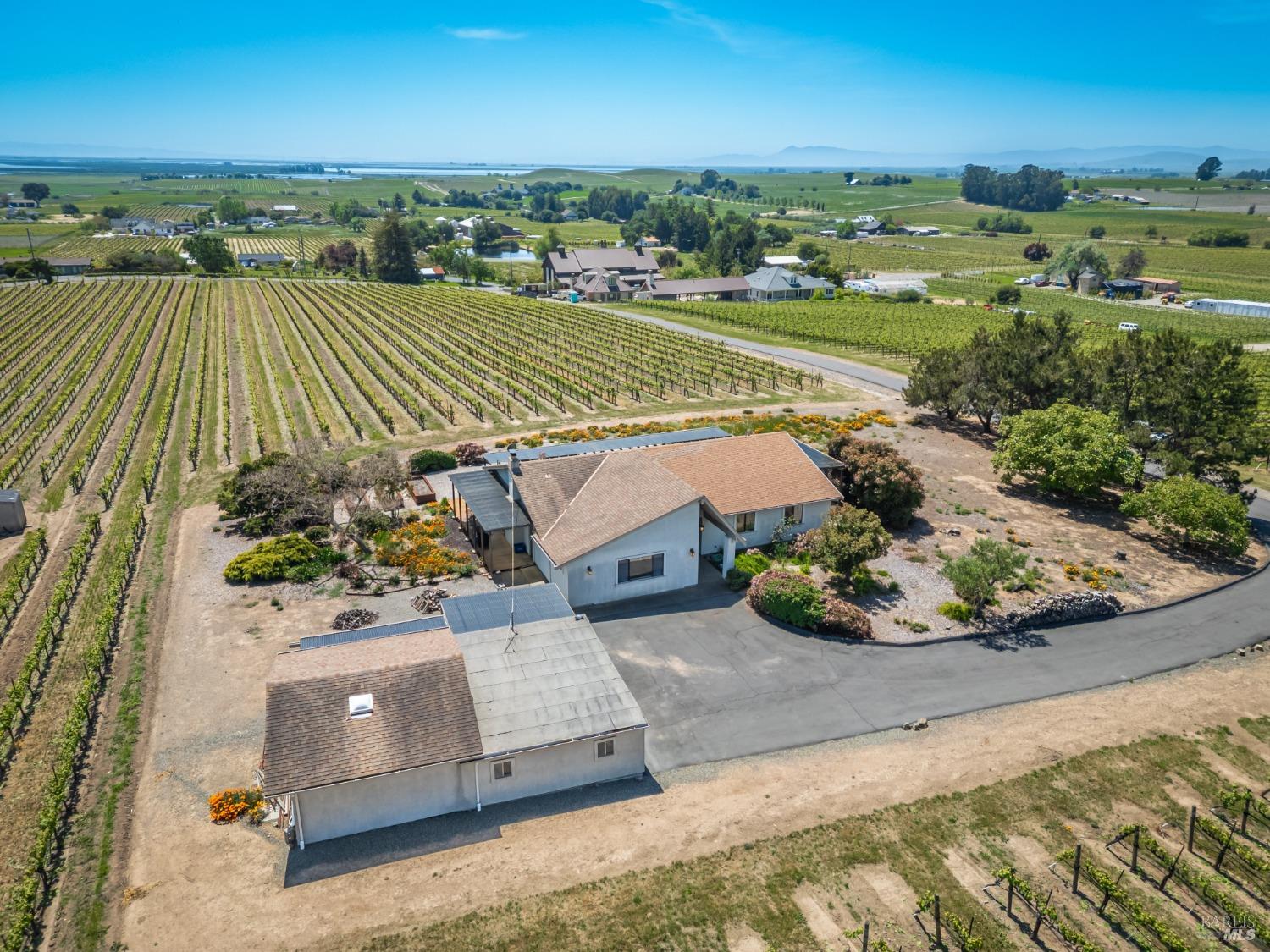 Detail Gallery Image 16 of 60 For 1150 Bayview Ave, Napa,  CA 94559 - 3 Beds | 2 Baths