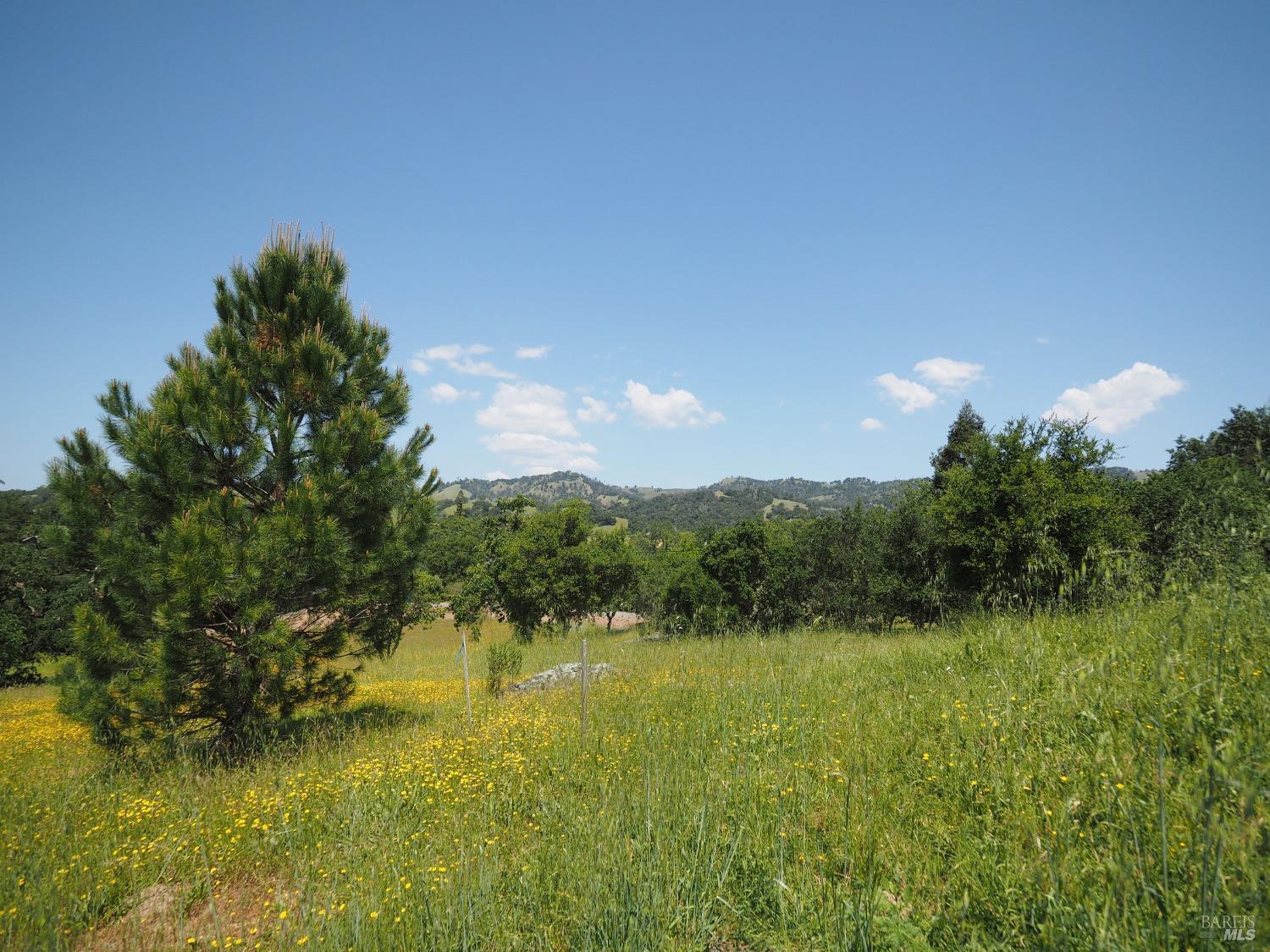 Detail Gallery Image 13 of 44 For 369 Deer Path Dr, Geyserville,  CA 95441 - – Beds | – Baths