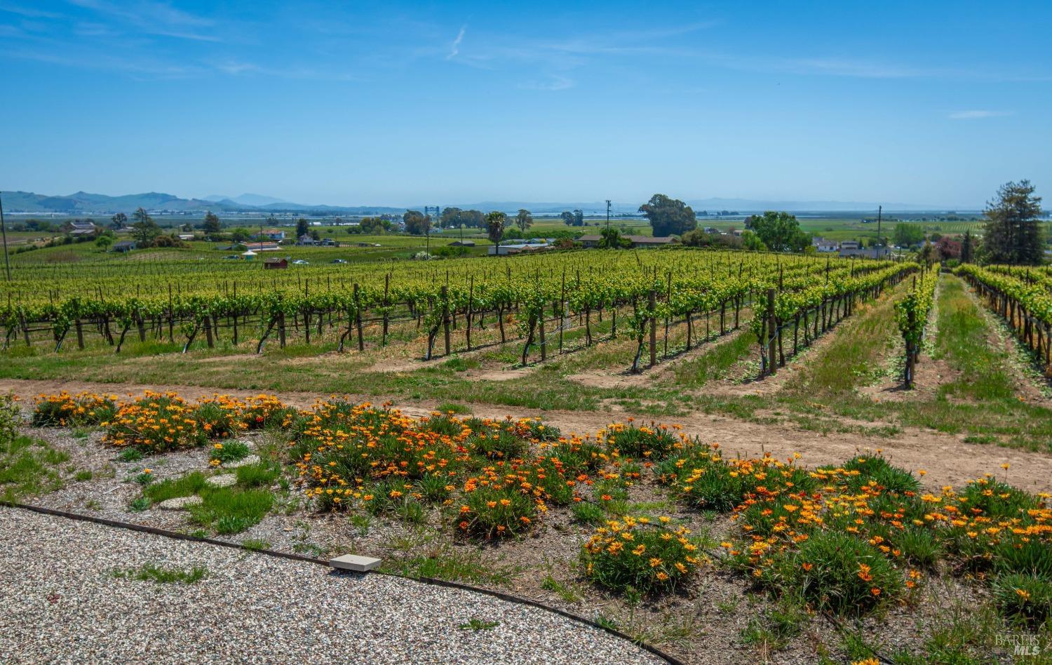 Detail Gallery Image 55 of 60 For 1150 Bayview Ave, Napa,  CA 94559 - 3 Beds | 2 Baths