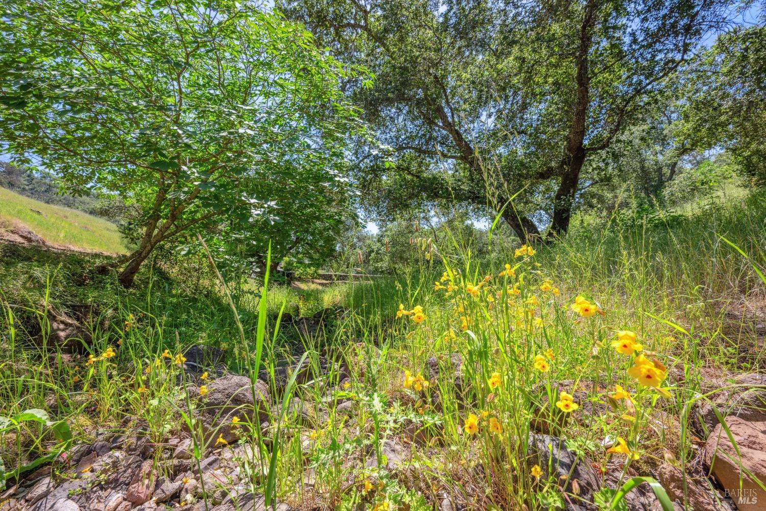 Detail Gallery Image 22 of 26 For 605 Cavedale Rd, Sonoma,  CA 95476 - 2 Beds | 1 Baths