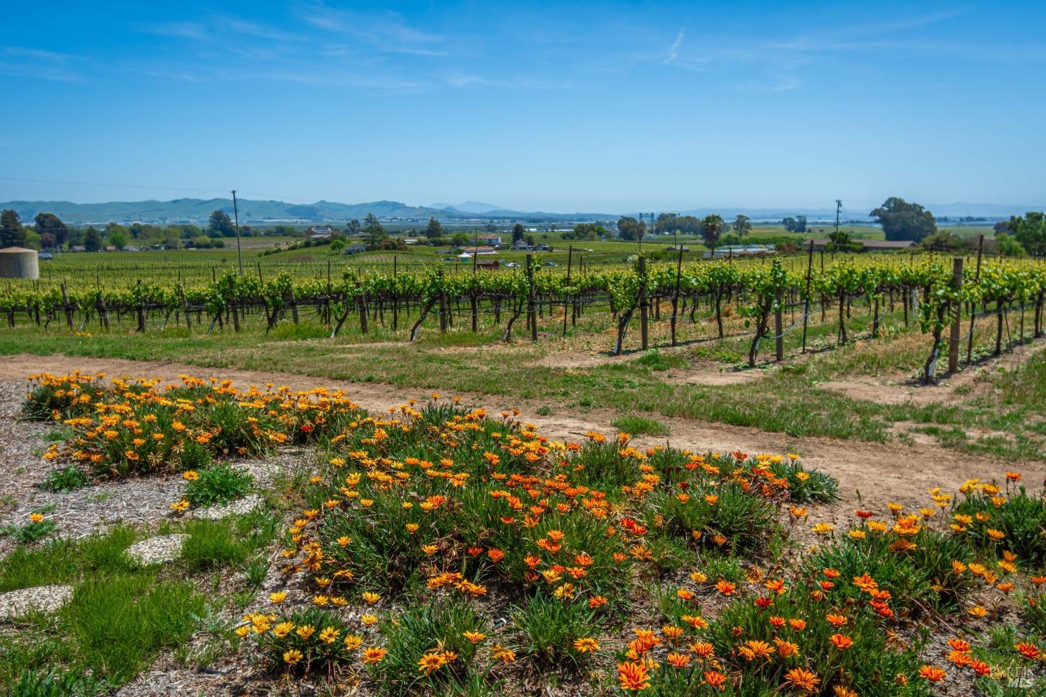 Detail Gallery Image 56 of 60 For 1150 Bayview Ave, Napa,  CA 94559 - 3 Beds | 2 Baths