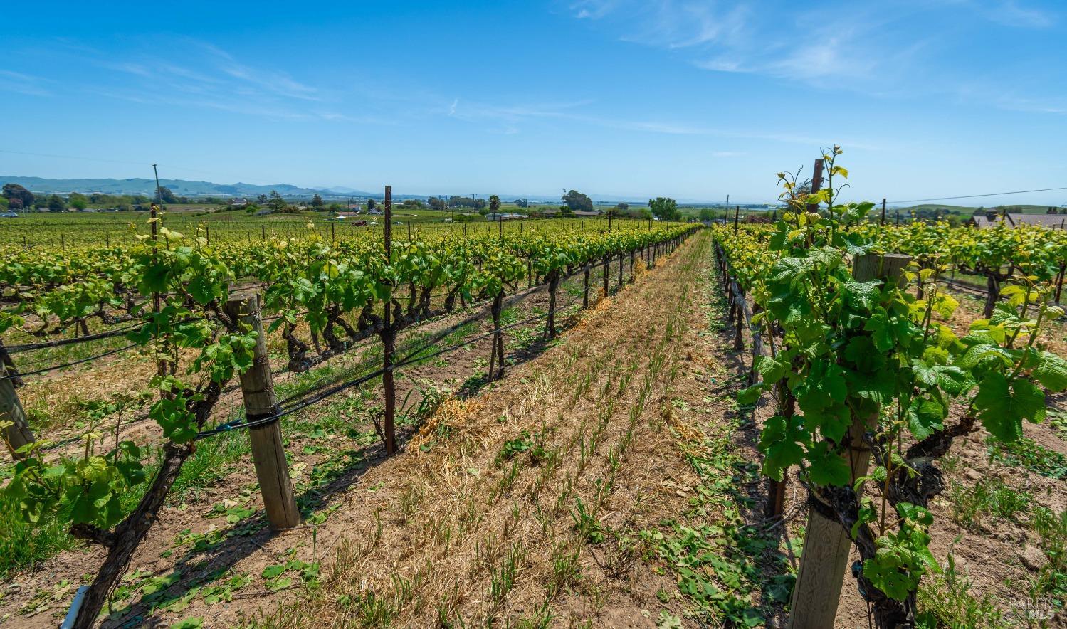 Detail Gallery Image 58 of 60 For 1150 Bayview Ave, Napa,  CA 94559 - 3 Beds | 2 Baths