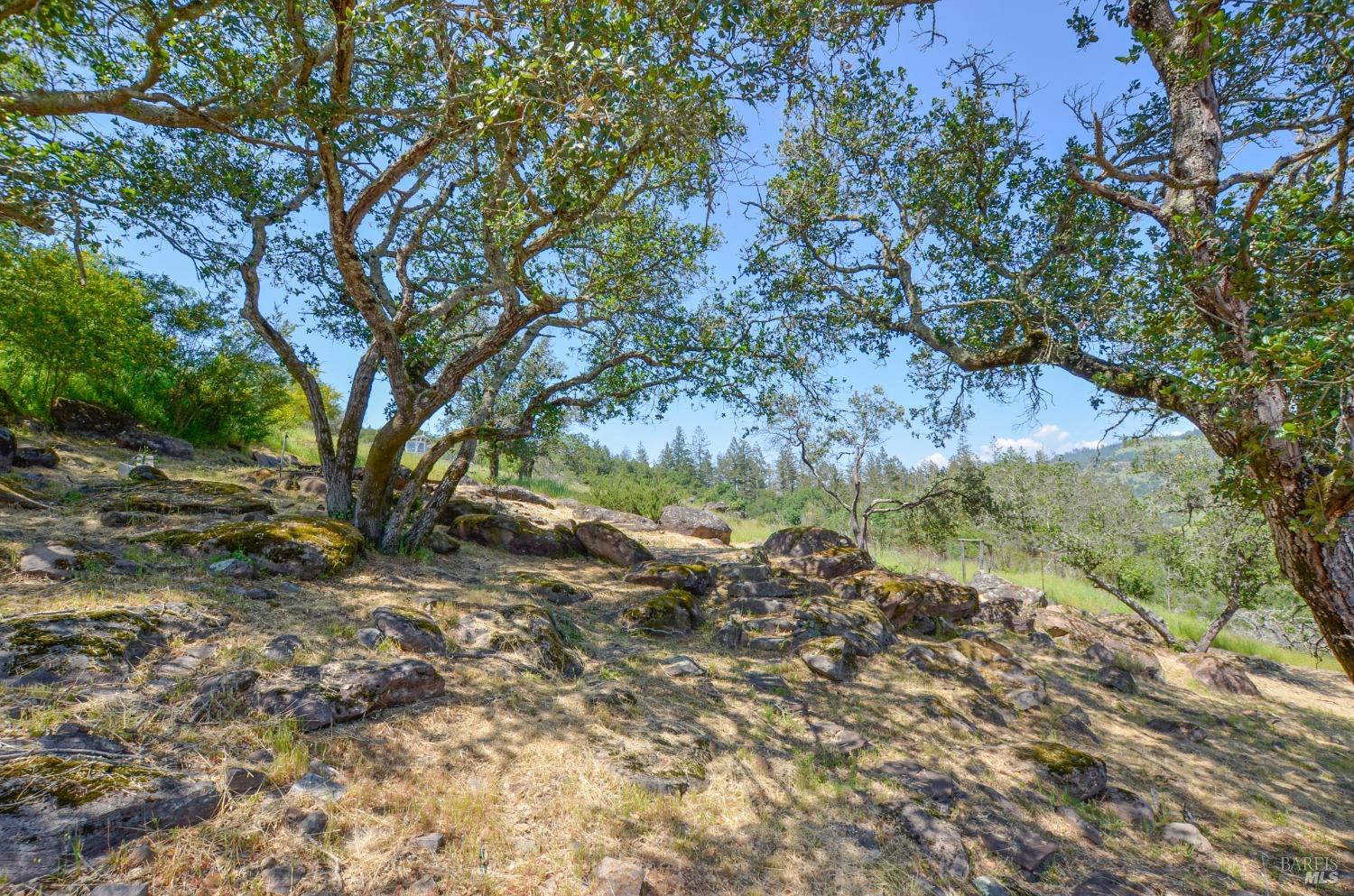 Detail Gallery Image 12 of 25 For 3577 Deer Trail Rd, Santa Rosa,  CA 95404 - – Beds | – Baths