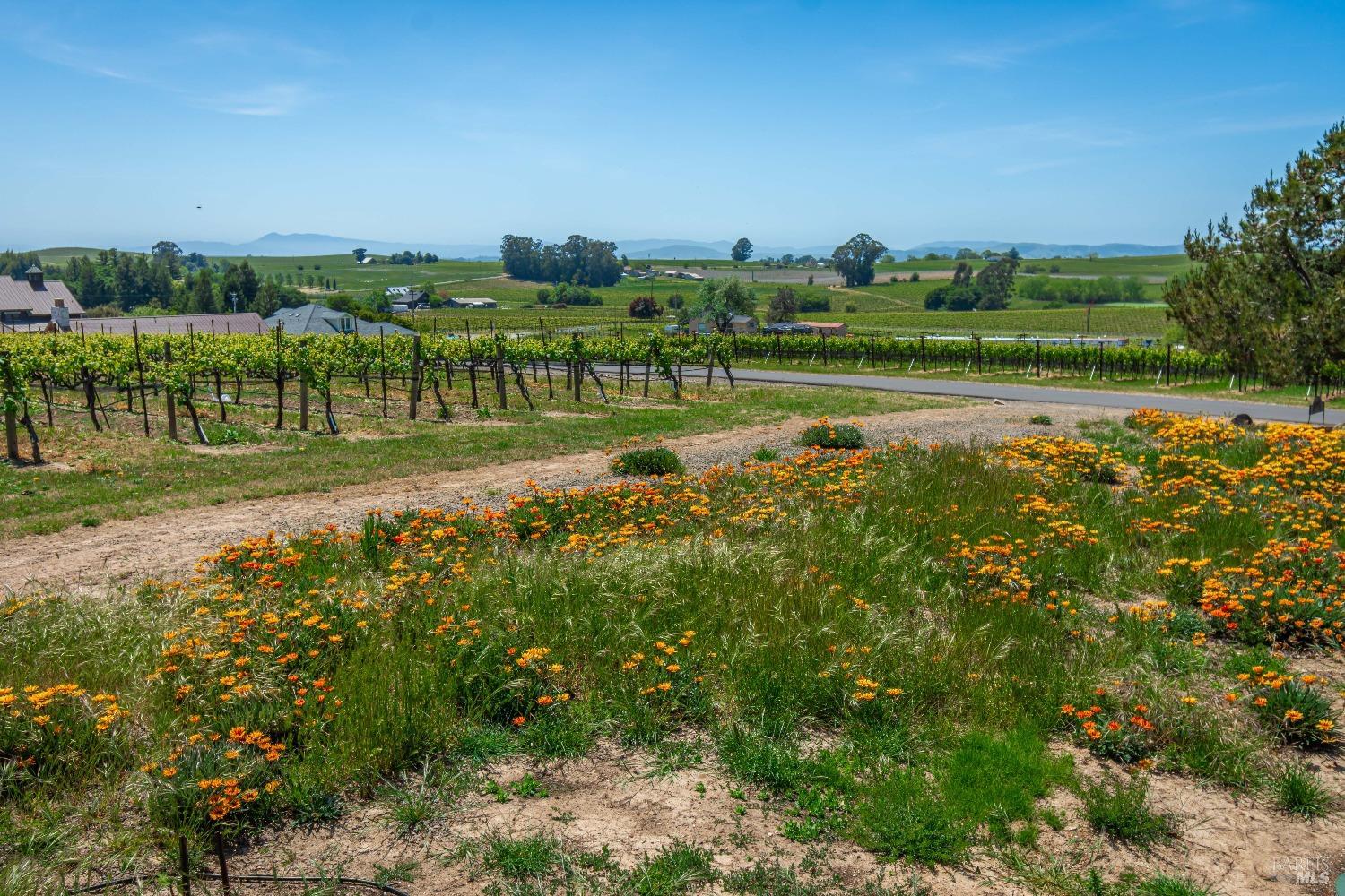Detail Gallery Image 52 of 60 For 1150 Bayview Ave, Napa,  CA 94559 - 3 Beds | 2 Baths